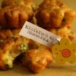 bocconcini-primavera bocconcini-primavera
