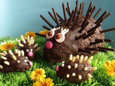torta-riccio