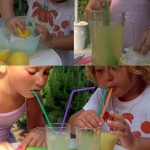 limonata limonata