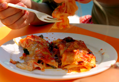 cannelloni 2picnic cannelloni 2picnic