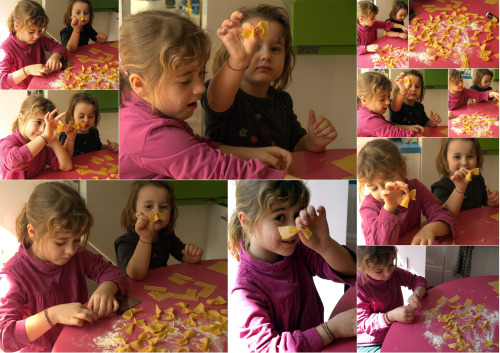 collage farfallepn collage farfallepn