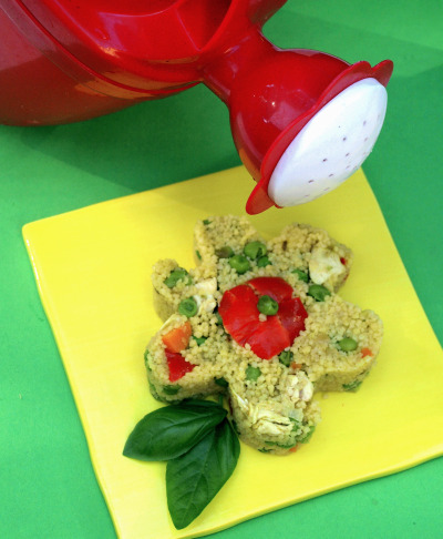 cous cous pollo e verdurepn
