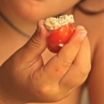 pomodori farcitipn pomodori farcitipn