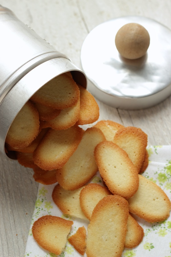 Lingue di gatto, un classico della pasticceria a portata di tutti. Tempodicottura.it Lingue di gatto, un classico della pasticceria a portata di tutti. Tempodicottura.it